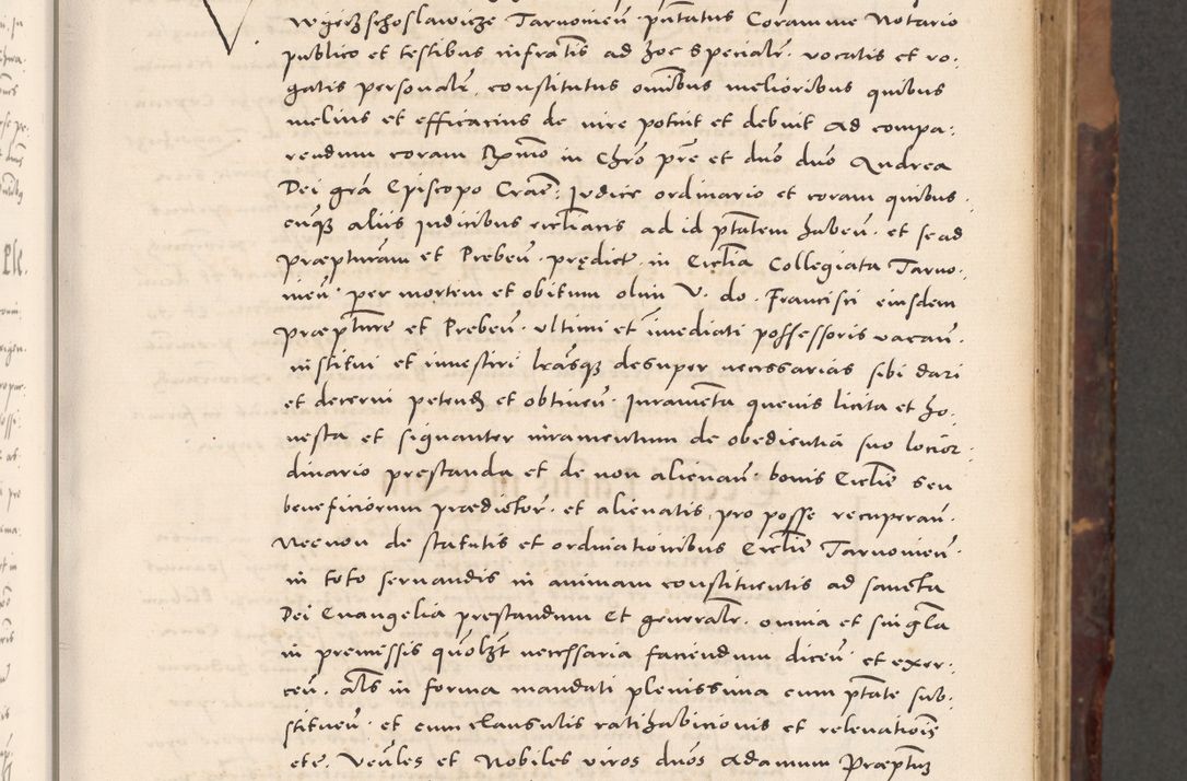 Zdjęcie nr 41 dla obiektu archiwalnego: Acta actorum causarum, sentenciarum tam diffinitivarum quam interloquutoriarum, decretorum, obligationum, quietationum et constitucionum procuratorum coram reverendo domino Bartholomeo Ganthkowski cancellario Gnesnensi, archidiacono et reverendissimi in Christo patris domini Andree Dei gratia episcopi Cracoviensis vicario in spiritualibus generali Cracoviensi ad annum Domini millesimum quingentesimum quingentesimum secundum, cuius indictio decima, pontificatus Julii pape tercii, annus tercius, foeliciter continuantur.