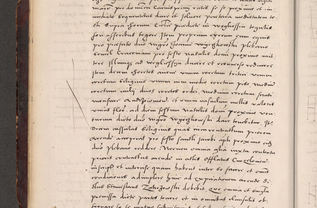 Zdjęcie nr 26 dla obiektu archiwalnego: Acta actorum causarum, sentenciarum tam diffinitivarum quam interloquutoriarum, decretorum, obligationum, quietationum et constitucionum procuratorum coram reverendo domino Bartholomeo Ganthkowski cancellario Gnesnensi, archidiacono et reverendissimi in Christo patris domini Andree Dei gratia episcopi Cracoviensis vicario in spiritualibus generali Cracoviensi ad annum Domini millesimum quingentesimum quingentesimum secundum, cuius indictio decima, pontificatus Julii pape tercii, annus tercius, foeliciter continuantur.