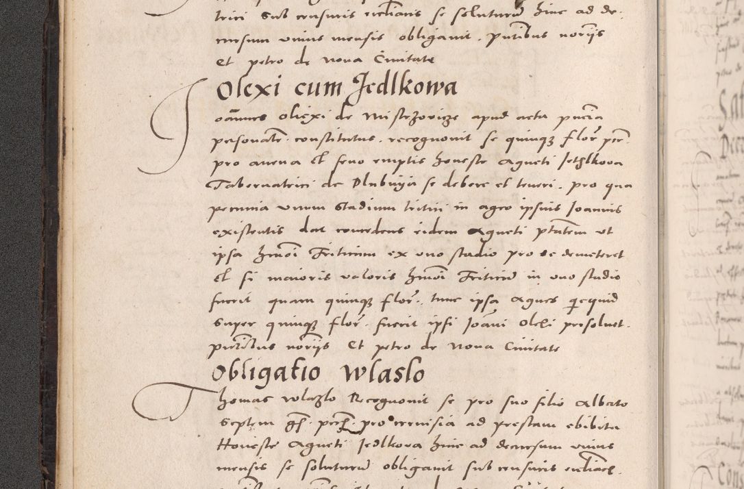 Zdjęcie nr 36 dla obiektu archiwalnego: Acta actorum causarum, sententiarum tam diffinitivarum quam interloquutoriarum, decretorum, obligationum, quietationum et constitutionum procuratorum coram reverendo domino Stanislao Schlomovski praeposito Calissiensi, archidiacono Sandecensi, canonico vicarioque in spiritualibus generali Cracocoviensi ad annum Domini millesimum quingentesimum quinquagesimum sextum, cuius indicatio quatuor decima, pontificatus sanctissimi in Christo patris domini Pauli divina providencia pape quarti anno ipsius