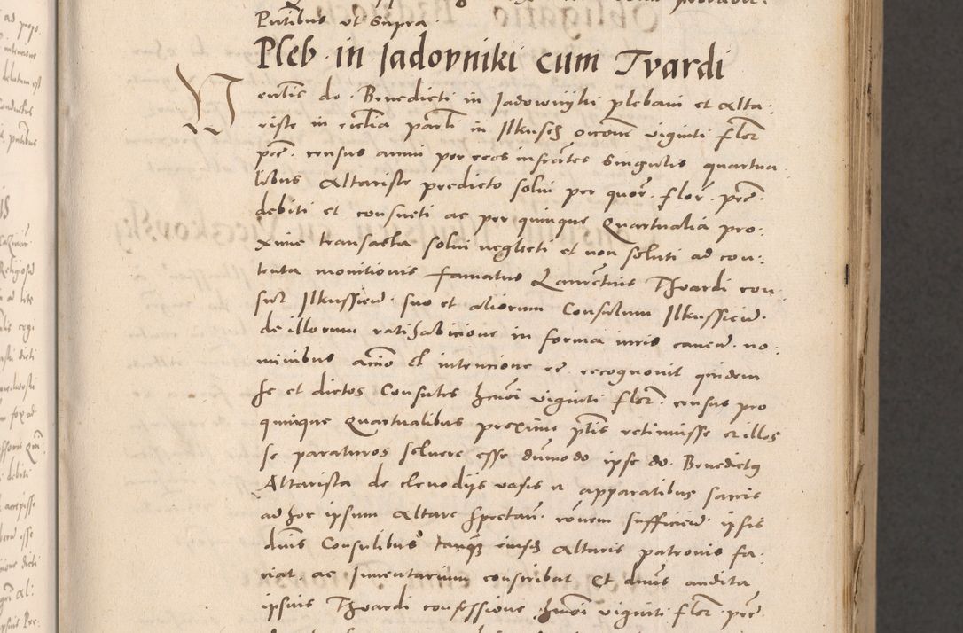 Zdjęcie nr 19 dla obiektu archiwalnego: Acta actorum causarum, sententiarum tam diffinitivarum quam interloquutoriarum, decretorum, obligationum, quietationum et constitutionum procuratorum coram reverendo domino Stanislao Schlomovski praeposito Calissiensi, archidiacono Sandecensi, canonico vicarioque in spiritualibus generali Cracocoviensi ad annum Domini millesimum quingentesimum quinquagesimum sextum, cuius indicatio quatuor decima, pontificatus sanctissimi in Christo patris domini Pauli divina providencia pape quarti anno ipsius