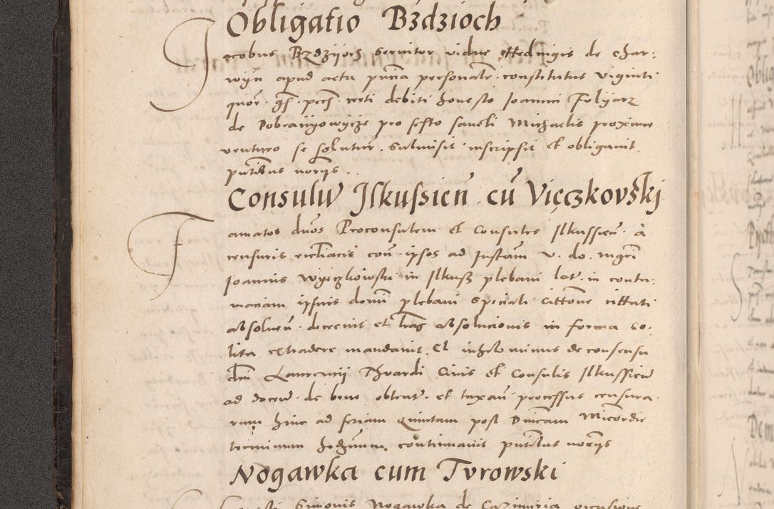 Zdjęcie nr 20 dla obiektu archiwalnego: Acta actorum causarum, sententiarum tam diffinitivarum quam interloquutoriarum, decretorum, obligationum, quietationum et constitutionum procuratorum coram reverendo domino Stanislao Schlomovski praeposito Calissiensi, archidiacono Sandecensi, canonico vicarioque in spiritualibus generali Cracocoviensi ad annum Domini millesimum quingentesimum quinquagesimum sextum, cuius indicatio quatuor decima, pontificatus sanctissimi in Christo patris domini Pauli divina providencia pape quarti anno ipsius