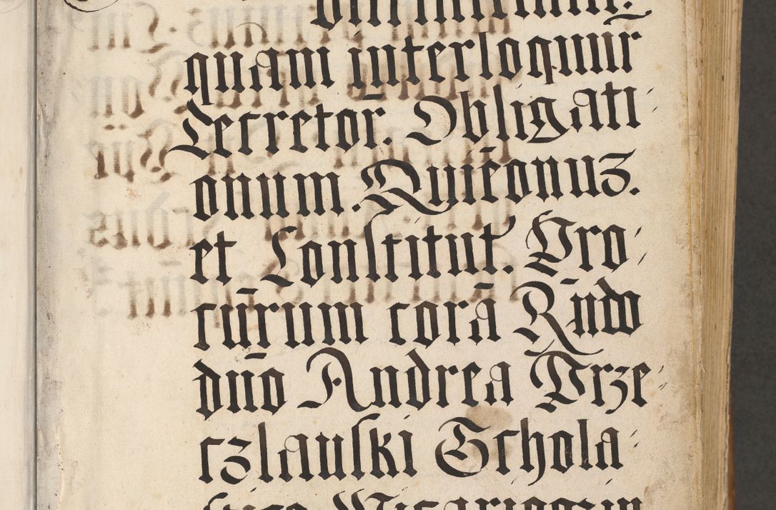 Zdjęcie nr 6 dla obiektu archiwalnego: Acta actorum, sententiarum tam diffinitivarum quam interloquutoriarum, decretorum, obligationum, quietationum et constitutionum procuratorum coram reverendo domino Andrea Przeczlauski scholastico vicarioque in spiritualibus generali Cracoviensi, ad annum Domini millesimum quingentesimum sexagesimum primum, cuius inditio quarta, pontidicatus Pii quarti, annus secundus, poeliciter sequuntur