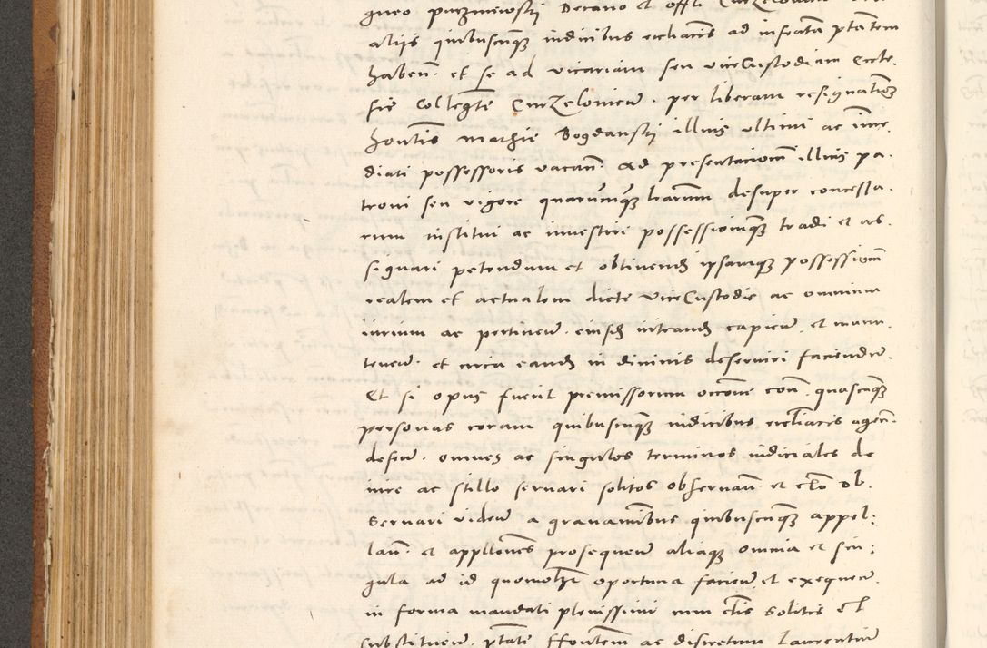 Zdjęcie nr 349 dla obiektu archiwalnego: Acta actorum, sententiarum tam diffinitivarum quam interloquutoriarum, decretorum, obligationum, quietationum et constitutionum procuratorum coram reverendo domino Andrea Przeczlauski scholastico vicarioque in spiritualibus generali Cracoviensi, ad annum Domini millesimum quingentesimum sexagesimum primum, cuius inditio quarta, pontidicatus Pii quarti, annus secundus, poeliciter sequuntur