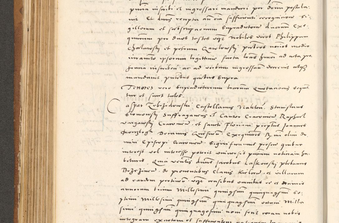 Zdjęcie nr 339 dla obiektu archiwalnego: Acta actorum, sententiarum tam diffinitivarum quam interloquutoriarum, decretorum, obligationum, quietationum et constitutionum procuratorum coram reverendo domino Andrea Przeczlauski scholastico vicarioque in spiritualibus generali Cracoviensi, ad annum Domini millesimum quingentesimum sexagesimum primum, cuius inditio quarta, pontidicatus Pii quarti, annus secundus, poeliciter sequuntur