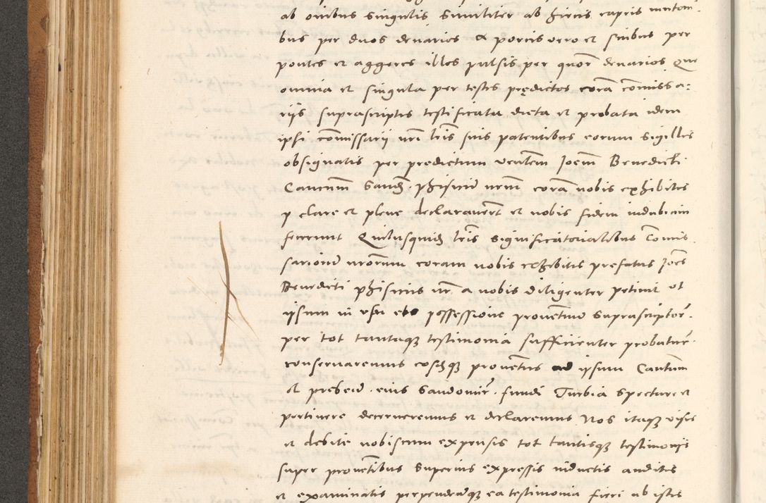 Zdjęcie nr 303 dla obiektu archiwalnego: Acta actorum, sententiarum tam diffinitivarum quam interloquutoriarum, decretorum, obligationum, quietationum et constitutionum procuratorum coram reverendo domino Andrea Przeczlauski scholastico vicarioque in spiritualibus generali Cracoviensi, ad annum Domini millesimum quingentesimum sexagesimum primum, cuius inditio quarta, pontidicatus Pii quarti, annus secundus, poeliciter sequuntur