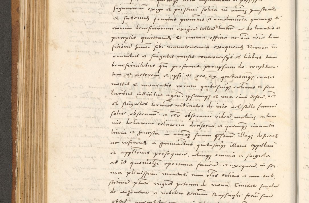 Zdjęcie nr 297 dla obiektu archiwalnego: Acta actorum, sententiarum tam diffinitivarum quam interloquutoriarum, decretorum, obligationum, quietationum et constitutionum procuratorum coram reverendo domino Andrea Przeczlauski scholastico vicarioque in spiritualibus generali Cracoviensi, ad annum Domini millesimum quingentesimum sexagesimum primum, cuius inditio quarta, pontidicatus Pii quarti, annus secundus, poeliciter sequuntur