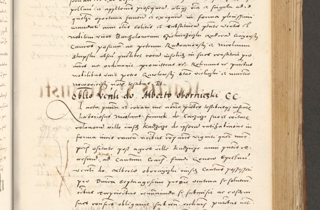 Zdjęcie nr 294 dla obiektu archiwalnego: Acta actorum, sententiarum tam diffinitivarum quam interloquutoriarum, decretorum, obligationum, quietationum et constitutionum procuratorum coram reverendo domino Andrea Przeczlauski scholastico vicarioque in spiritualibus generali Cracoviensi, ad annum Domini millesimum quingentesimum sexagesimum primum, cuius inditio quarta, pontidicatus Pii quarti, annus secundus, poeliciter sequuntur