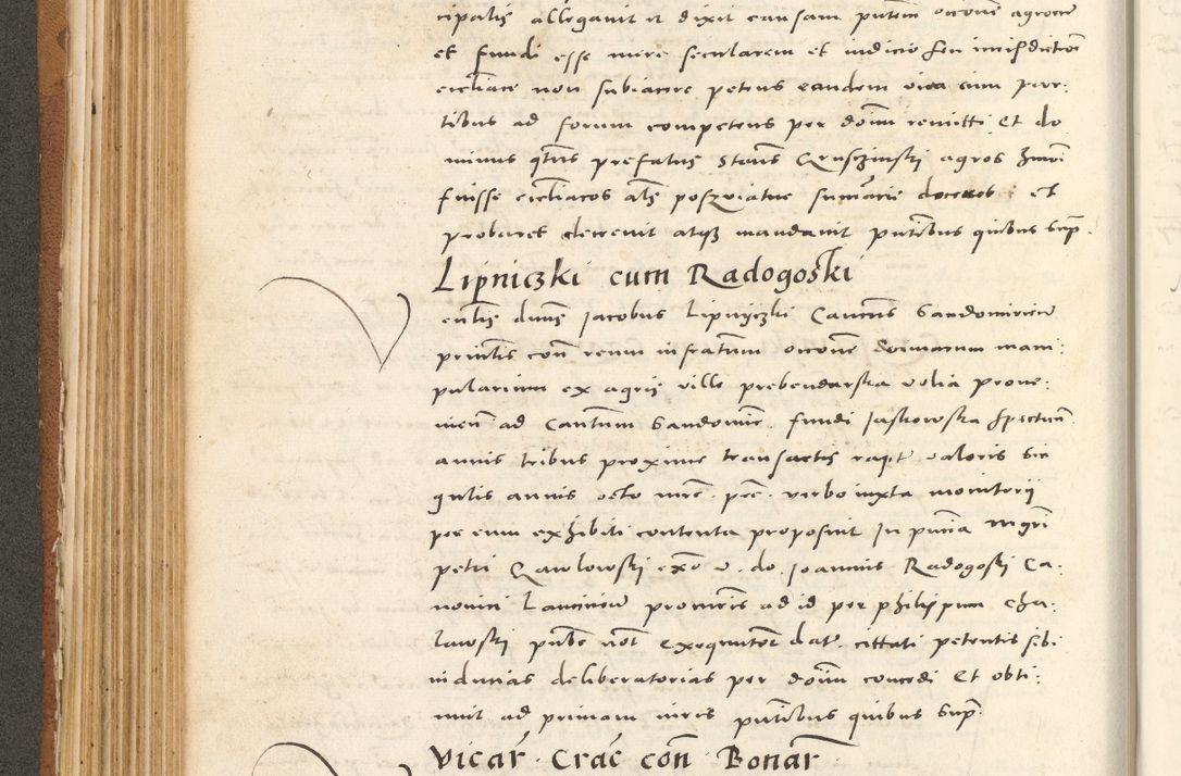 Zdjęcie nr 267 dla obiektu archiwalnego: Acta actorum, sententiarum tam diffinitivarum quam interloquutoriarum, decretorum, obligationum, quietationum et constitutionum procuratorum coram reverendo domino Andrea Przeczlauski scholastico vicarioque in spiritualibus generali Cracoviensi, ad annum Domini millesimum quingentesimum sexagesimum primum, cuius inditio quarta, pontidicatus Pii quarti, annus secundus, poeliciter sequuntur