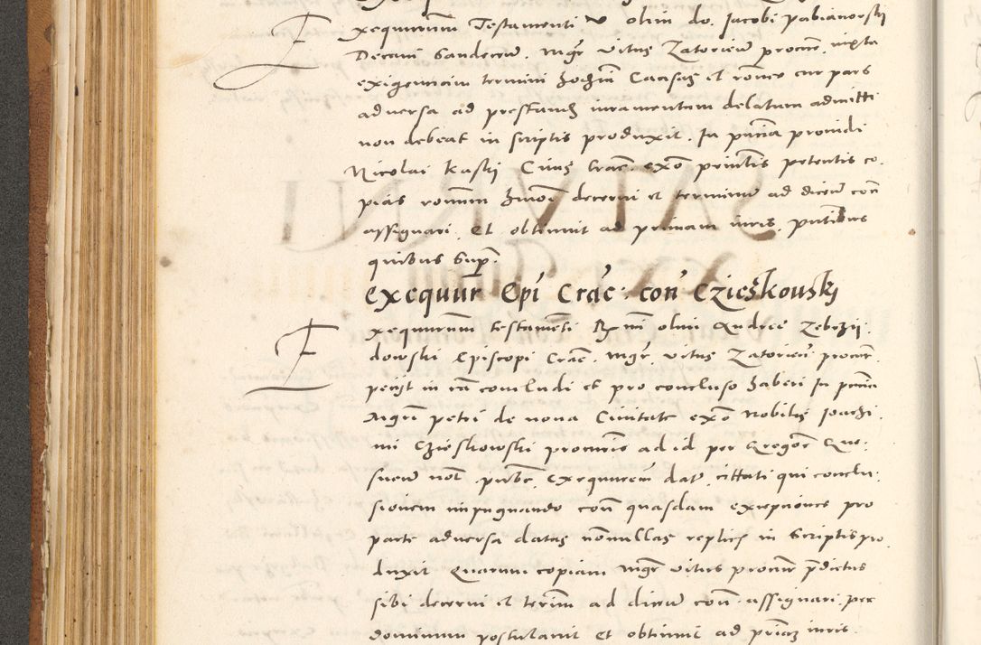 Zdjęcie nr 243 dla obiektu archiwalnego: Acta actorum, sententiarum tam diffinitivarum quam interloquutoriarum, decretorum, obligationum, quietationum et constitutionum procuratorum coram reverendo domino Andrea Przeczlauski scholastico vicarioque in spiritualibus generali Cracoviensi, ad annum Domini millesimum quingentesimum sexagesimum primum, cuius inditio quarta, pontidicatus Pii quarti, annus secundus, poeliciter sequuntur