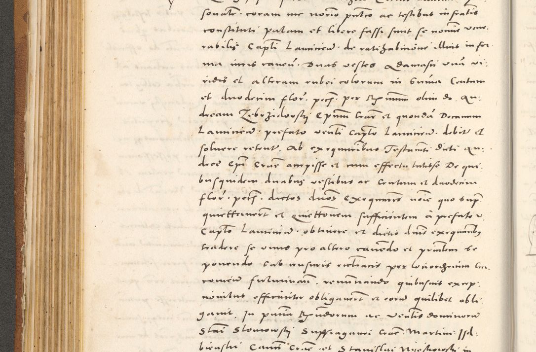 Zdjęcie nr 229 dla obiektu archiwalnego: Acta actorum, sententiarum tam diffinitivarum quam interloquutoriarum, decretorum, obligationum, quietationum et constitutionum procuratorum coram reverendo domino Andrea Przeczlauski scholastico vicarioque in spiritualibus generali Cracoviensi, ad annum Domini millesimum quingentesimum sexagesimum primum, cuius inditio quarta, pontidicatus Pii quarti, annus secundus, poeliciter sequuntur