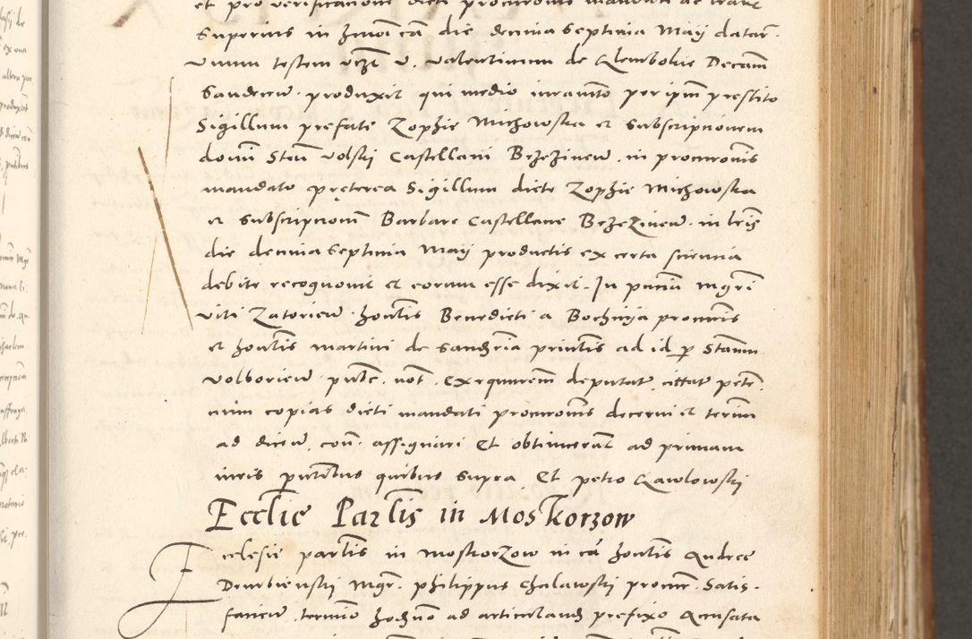 Zdjęcie nr 224 dla obiektu archiwalnego: Acta actorum, sententiarum tam diffinitivarum quam interloquutoriarum, decretorum, obligationum, quietationum et constitutionum procuratorum coram reverendo domino Andrea Przeczlauski scholastico vicarioque in spiritualibus generali Cracoviensi, ad annum Domini millesimum quingentesimum sexagesimum primum, cuius inditio quarta, pontidicatus Pii quarti, annus secundus, poeliciter sequuntur