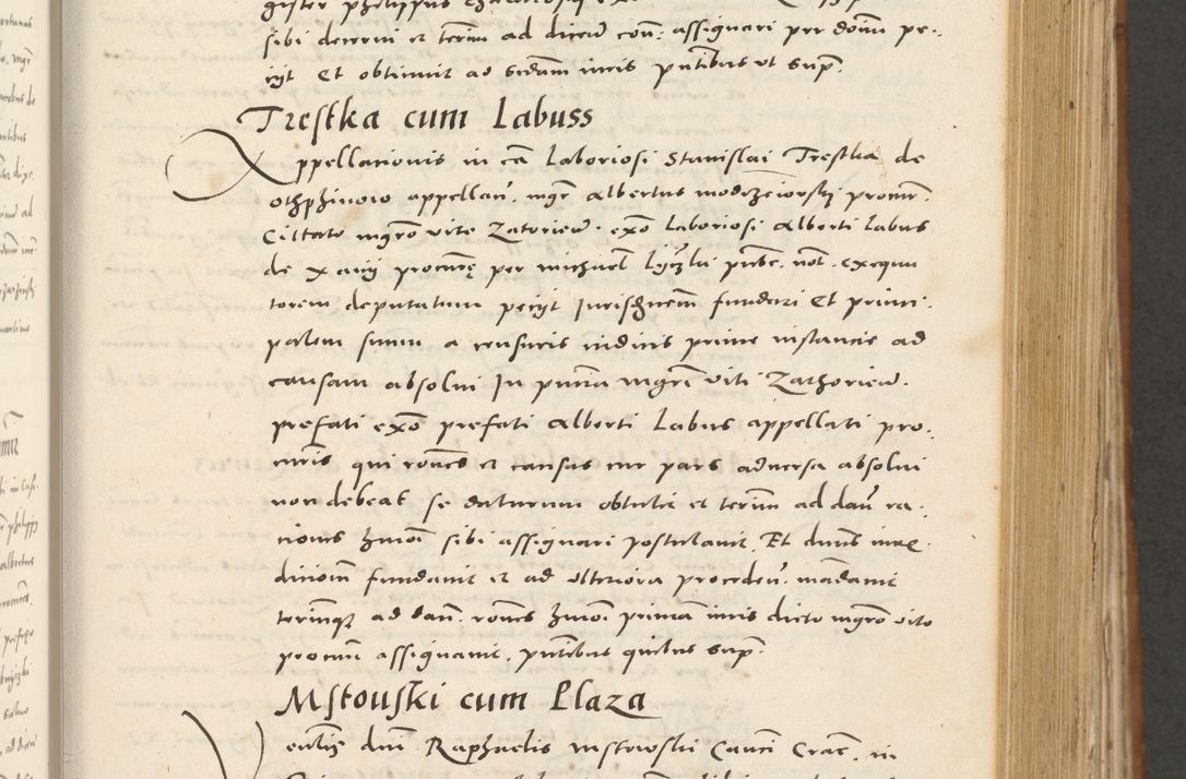 Zdjęcie nr 214 dla obiektu archiwalnego: Acta actorum, sententiarum tam diffinitivarum quam interloquutoriarum, decretorum, obligationum, quietationum et constitutionum procuratorum coram reverendo domino Andrea Przeczlauski scholastico vicarioque in spiritualibus generali Cracoviensi, ad annum Domini millesimum quingentesimum sexagesimum primum, cuius inditio quarta, pontidicatus Pii quarti, annus secundus, poeliciter sequuntur