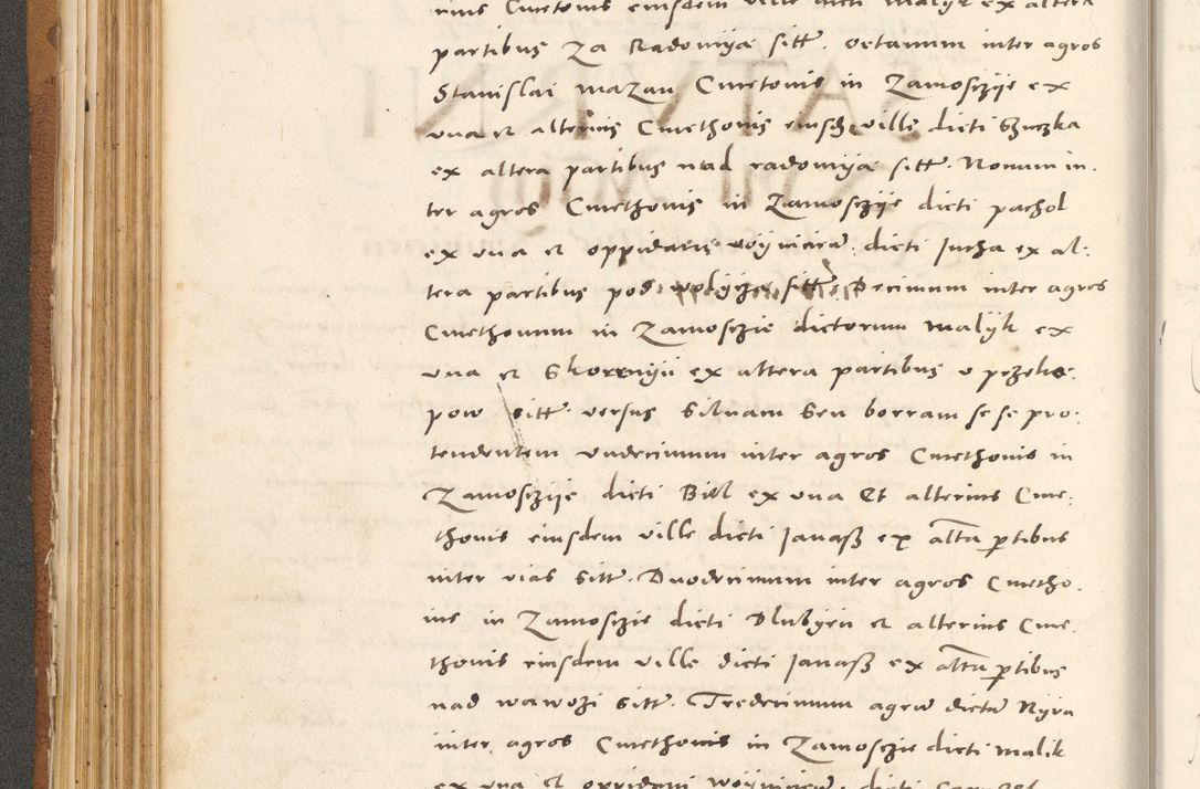 Zdjęcie nr 189 dla obiektu archiwalnego: Acta actorum, sententiarum tam diffinitivarum quam interloquutoriarum, decretorum, obligationum, quietationum et constitutionum procuratorum coram reverendo domino Andrea Przeczlauski scholastico vicarioque in spiritualibus generali Cracoviensi, ad annum Domini millesimum quingentesimum sexagesimum primum, cuius inditio quarta, pontidicatus Pii quarti, annus secundus, poeliciter sequuntur