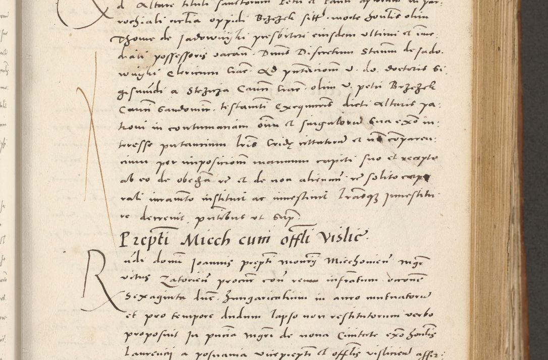 Zdjęcie nr 174 dla obiektu archiwalnego: Acta actorum, sententiarum tam diffinitivarum quam interloquutoriarum, decretorum, obligationum, quietationum et constitutionum procuratorum coram reverendo domino Andrea Przeczlauski scholastico vicarioque in spiritualibus generali Cracoviensi, ad annum Domini millesimum quingentesimum sexagesimum primum, cuius inditio quarta, pontidicatus Pii quarti, annus secundus, poeliciter sequuntur
