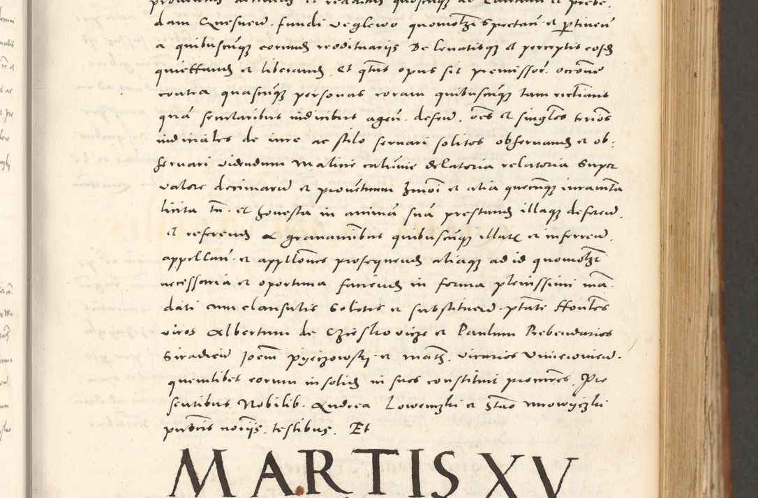 Zdjęcie nr 134 dla obiektu archiwalnego: Acta actorum, sententiarum tam diffinitivarum quam interloquutoriarum, decretorum, obligationum, quietationum et constitutionum procuratorum coram reverendo domino Andrea Przeczlauski scholastico vicarioque in spiritualibus generali Cracoviensi, ad annum Domini millesimum quingentesimum sexagesimum primum, cuius inditio quarta, pontidicatus Pii quarti, annus secundus, poeliciter sequuntur