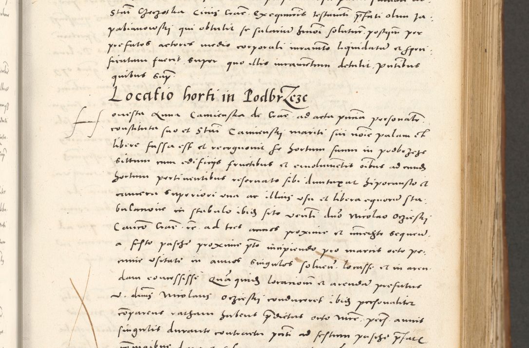 Zdjęcie nr 138 dla obiektu archiwalnego: Acta actorum, sententiarum tam diffinitivarum quam interloquutoriarum, decretorum, obligationum, quietationum et constitutionum procuratorum coram reverendo domino Andrea Przeczlauski scholastico vicarioque in spiritualibus generali Cracoviensi, ad annum Domini millesimum quingentesimum sexagesimum primum, cuius inditio quarta, pontidicatus Pii quarti, annus secundus, poeliciter sequuntur