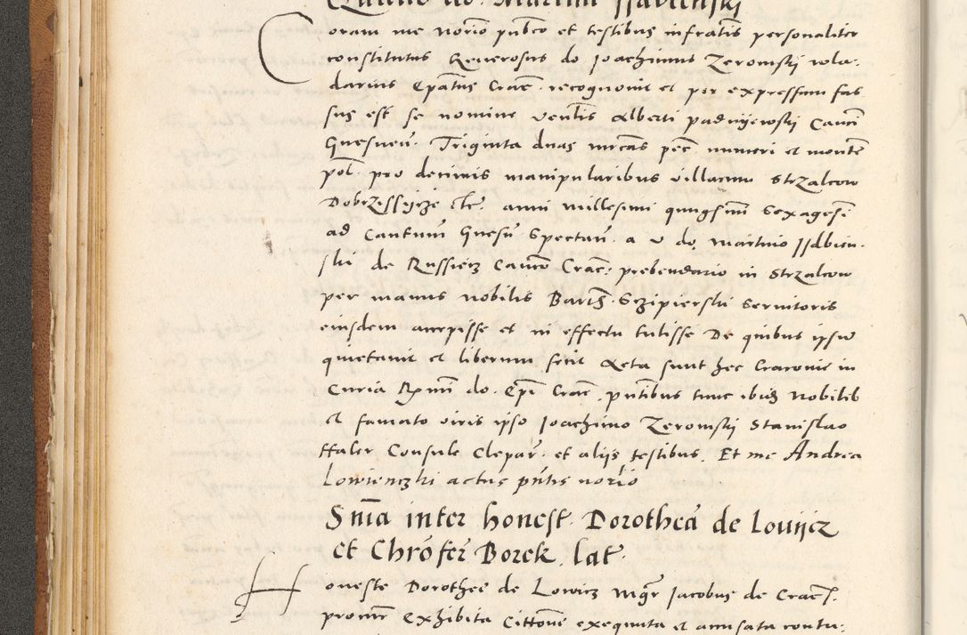 Zdjęcie nr 87 dla obiektu archiwalnego: Acta actorum, sententiarum tam diffinitivarum quam interloquutoriarum, decretorum, obligationum, quietationum et constitutionum procuratorum coram reverendo domino Andrea Przeczlauski scholastico vicarioque in spiritualibus generali Cracoviensi, ad annum Domini millesimum quingentesimum sexagesimum primum, cuius inditio quarta, pontidicatus Pii quarti, annus secundus, poeliciter sequuntur