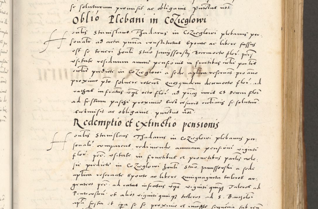 Zdjęcie nr 52 dla obiektu archiwalnego: Acta actorum, sententiarum tam diffinitivarum quam interloquutoriarum, decretorum, obligationum, quietationum et constitutionum procuratorum coram reverendo domino Andrea Przeczlauski scholastico vicarioque in spiritualibus generali Cracoviensi, ad annum Domini millesimum quingentesimum sexagesimum primum, cuius inditio quarta, pontidicatus Pii quarti, annus secundus, poeliciter sequuntur
