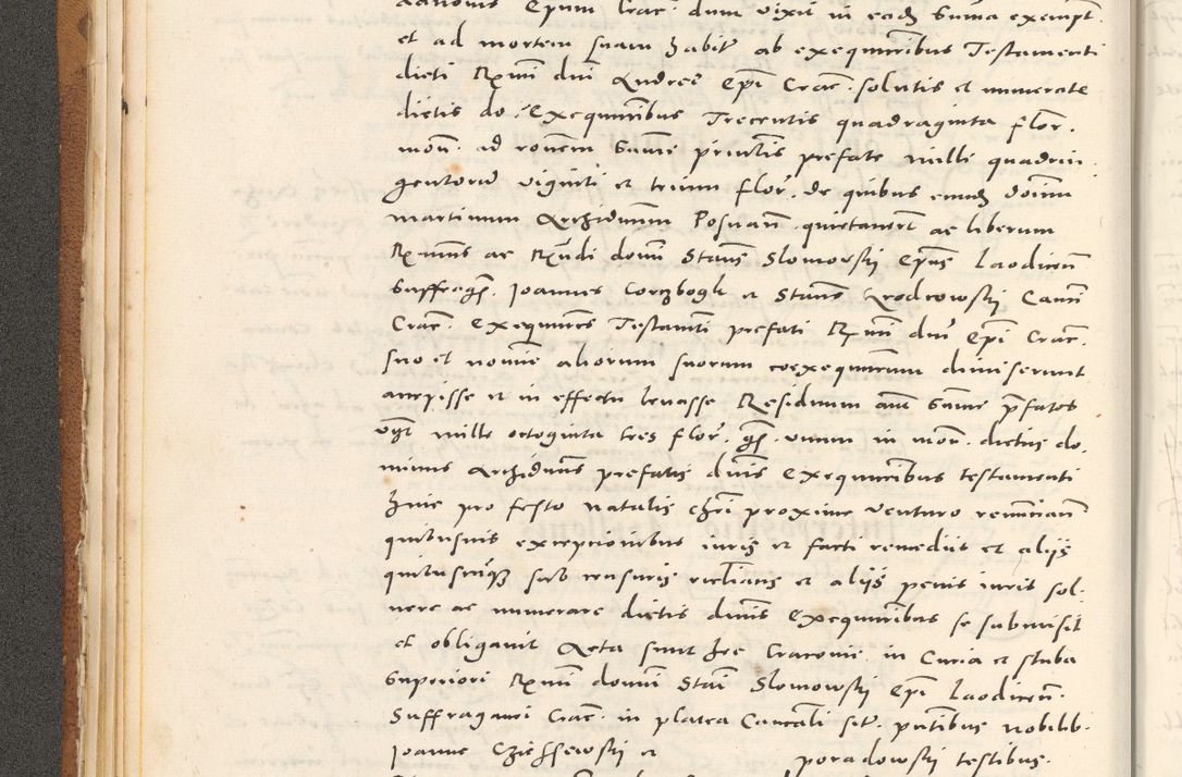 Zdjęcie nr 49 dla obiektu archiwalnego: Acta actorum, sententiarum tam diffinitivarum quam interloquutoriarum, decretorum, obligationum, quietationum et constitutionum procuratorum coram reverendo domino Andrea Przeczlauski scholastico vicarioque in spiritualibus generali Cracoviensi, ad annum Domini millesimum quingentesimum sexagesimum primum, cuius inditio quarta, pontidicatus Pii quarti, annus secundus, poeliciter sequuntur