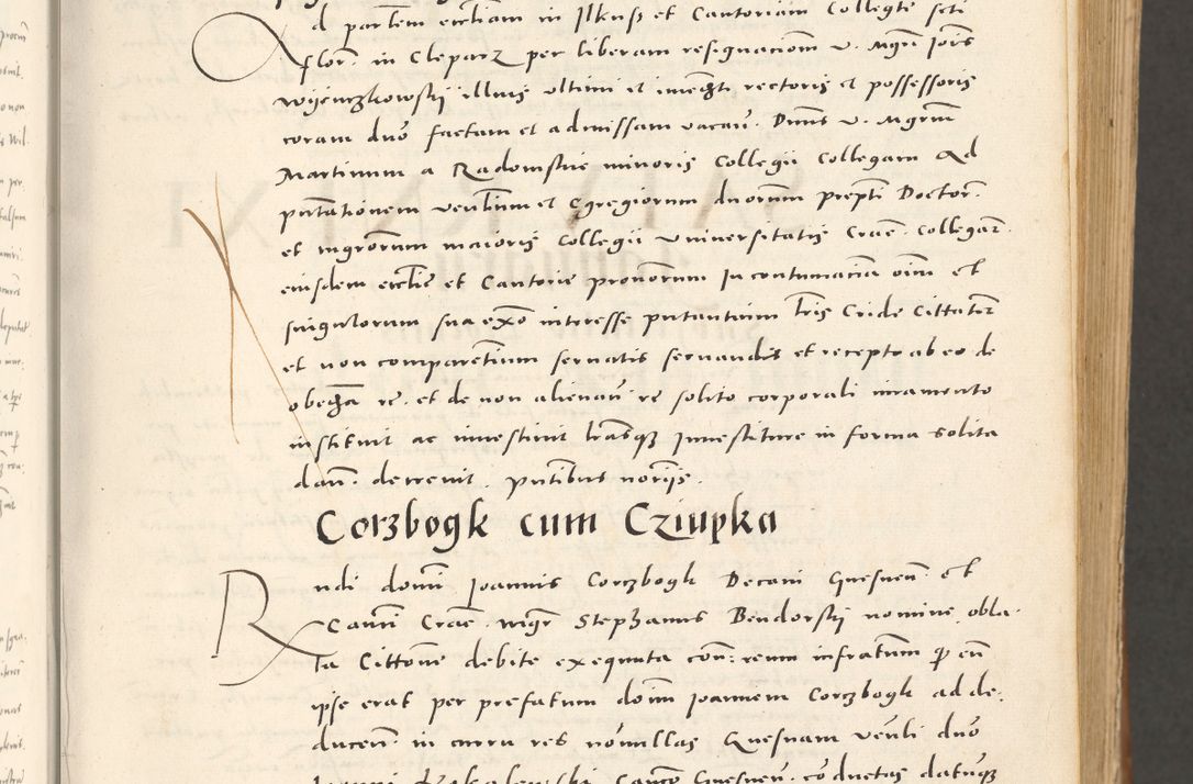 Zdjęcie nr 22 dla obiektu archiwalnego: Acta actorum, sententiarum tam diffinitivarum quam interloquutoriarum, decretorum, obligationum, quietationum et constitutionum procuratorum coram reverendo domino Andrea Przeczlauski scholastico vicarioque in spiritualibus generali Cracoviensi, ad annum Domini millesimum quingentesimum sexagesimum primum, cuius inditio quarta, pontidicatus Pii quarti, annus secundus, poeliciter sequuntur