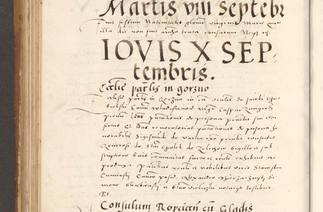 Zdjęcie nr 729 dla obiektu archiwalnego: Acta actorum, sententiarum tam diffinitivarum quam interloquutoriarum, decretorum, obligationum, quietationum et constitutionum procuratorum coram reverendo domino Andrea Przeczlauski scholastico vicarioque in spiritualibus generali Cracoviensi, ad annum Domini millesimum quingentesimum sexagesimum primum, cuius inditio quarta, pontidicatus Pii quarti, annus secundus, poeliciter sequuntur