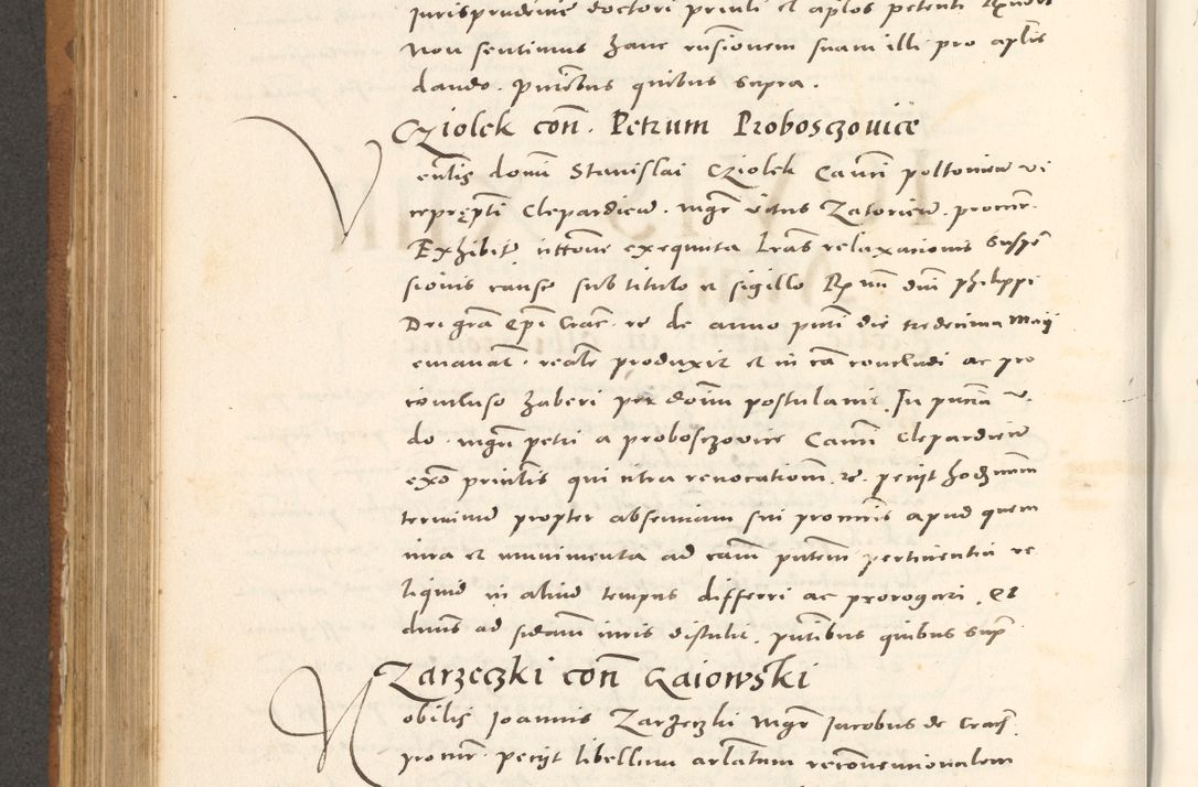 Zdjęcie nr 601 dla obiektu archiwalnego: Acta actorum, sententiarum tam diffinitivarum quam interloquutoriarum, decretorum, obligationum, quietationum et constitutionum procuratorum coram reverendo domino Andrea Przeczlauski scholastico vicarioque in spiritualibus generali Cracoviensi, ad annum Domini millesimum quingentesimum sexagesimum primum, cuius inditio quarta, pontidicatus Pii quarti, annus secundus, poeliciter sequuntur