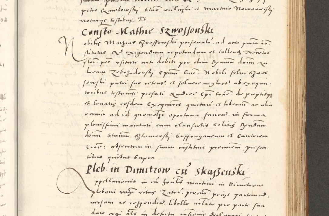 Zdjęcie nr 528 dla obiektu archiwalnego: Acta actorum, sententiarum tam diffinitivarum quam interloquutoriarum, decretorum, obligationum, quietationum et constitutionum procuratorum coram reverendo domino Andrea Przeczlauski scholastico vicarioque in spiritualibus generali Cracoviensi, ad annum Domini millesimum quingentesimum sexagesimum primum, cuius inditio quarta, pontidicatus Pii quarti, annus secundus, poeliciter sequuntur