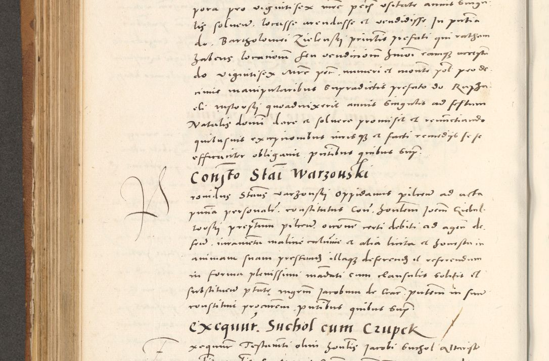 Zdjęcie nr 511 dla obiektu archiwalnego: Acta actorum, sententiarum tam diffinitivarum quam interloquutoriarum, decretorum, obligationum, quietationum et constitutionum procuratorum coram reverendo domino Andrea Przeczlauski scholastico vicarioque in spiritualibus generali Cracoviensi, ad annum Domini millesimum quingentesimum sexagesimum primum, cuius inditio quarta, pontidicatus Pii quarti, annus secundus, poeliciter sequuntur