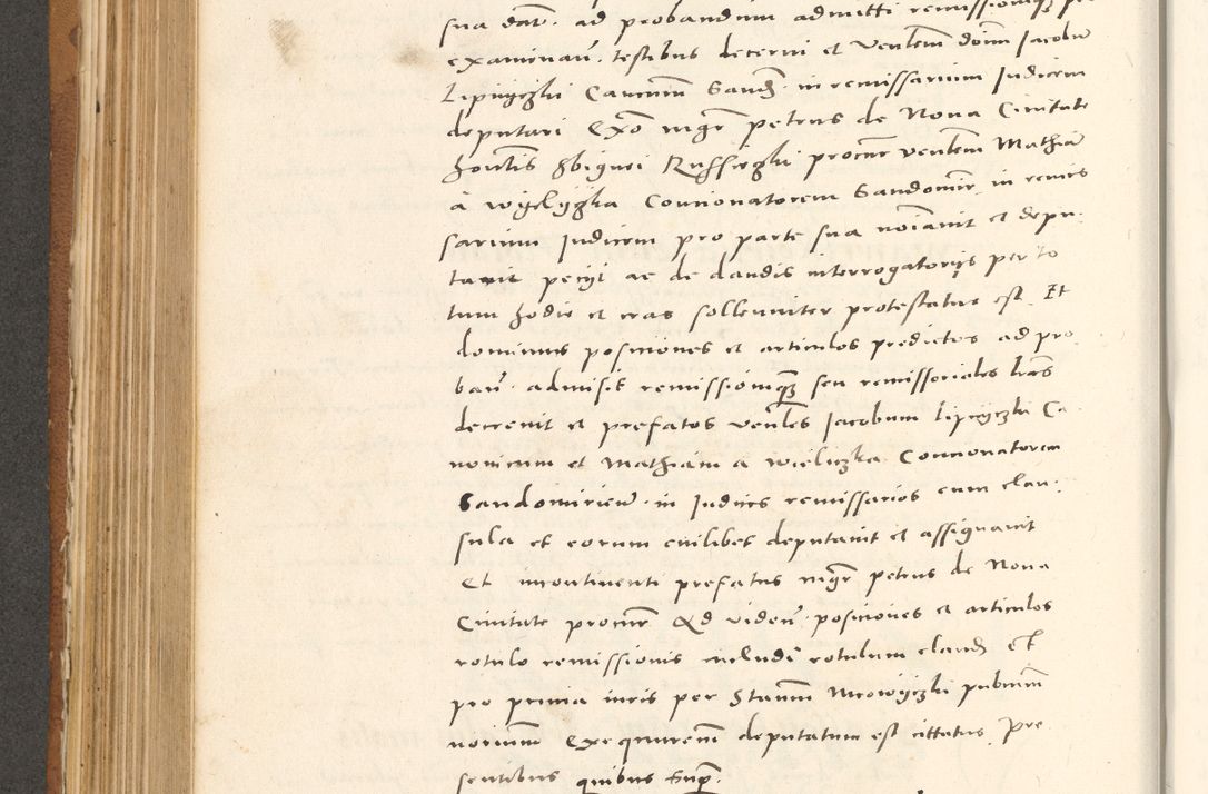 Zdjęcie nr 463 dla obiektu archiwalnego: Acta actorum, sententiarum tam diffinitivarum quam interloquutoriarum, decretorum, obligationum, quietationum et constitutionum procuratorum coram reverendo domino Andrea Przeczlauski scholastico vicarioque in spiritualibus generali Cracoviensi, ad annum Domini millesimum quingentesimum sexagesimum primum, cuius inditio quarta, pontidicatus Pii quarti, annus secundus, poeliciter sequuntur