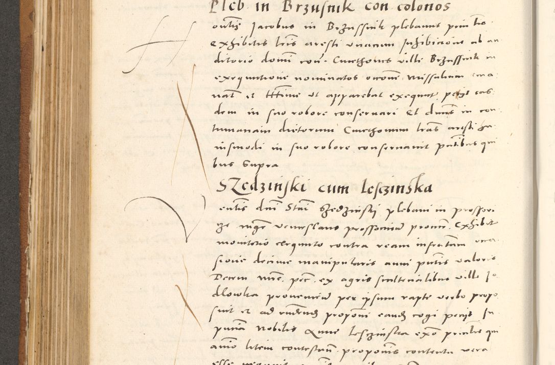 Zdjęcie nr 449 dla obiektu archiwalnego: Acta actorum, sententiarum tam diffinitivarum quam interloquutoriarum, decretorum, obligationum, quietationum et constitutionum procuratorum coram reverendo domino Andrea Przeczlauski scholastico vicarioque in spiritualibus generali Cracoviensi, ad annum Domini millesimum quingentesimum sexagesimum primum, cuius inditio quarta, pontidicatus Pii quarti, annus secundus, poeliciter sequuntur