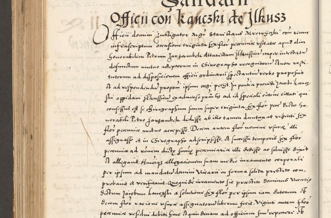 Zdjęcie nr 1137 dla obiektu archiwalnego: Acta actorum, sententiarum tam diffinitivarum quam interloquutoriarum, decretorum, obligationum, quietationum et constitutionum procuratorum coram reverendo domino Andrea Przeczlauski scholastico vicarioque in spiritualibus generali Cracoviensi, ad annum Domini millesimum quingentesimum sexagesimum primum, cuius inditio quarta, pontidicatus Pii quarti, annus secundus, poeliciter sequuntur