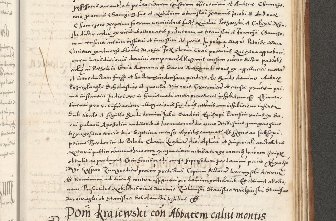 Zdjęcie nr 1084 dla obiektu archiwalnego: Acta actorum, sententiarum tam diffinitivarum quam interloquutoriarum, decretorum, obligationum, quietationum et constitutionum procuratorum coram reverendo domino Andrea Przeczlauski scholastico vicarioque in spiritualibus generali Cracoviensi, ad annum Domini millesimum quingentesimum sexagesimum primum, cuius inditio quarta, pontidicatus Pii quarti, annus secundus, poeliciter sequuntur
