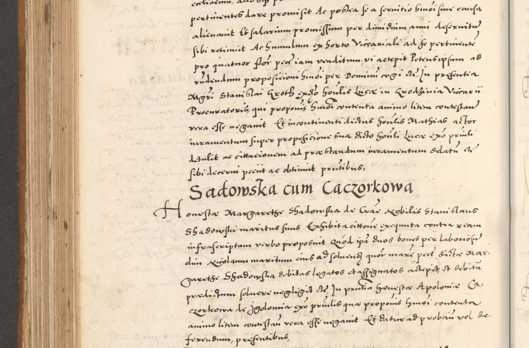 Zdjęcie nr 1041 dla obiektu archiwalnego: Acta actorum, sententiarum tam diffinitivarum quam interloquutoriarum, decretorum, obligationum, quietationum et constitutionum procuratorum coram reverendo domino Andrea Przeczlauski scholastico vicarioque in spiritualibus generali Cracoviensi, ad annum Domini millesimum quingentesimum sexagesimum primum, cuius inditio quarta, pontidicatus Pii quarti, annus secundus, poeliciter sequuntur