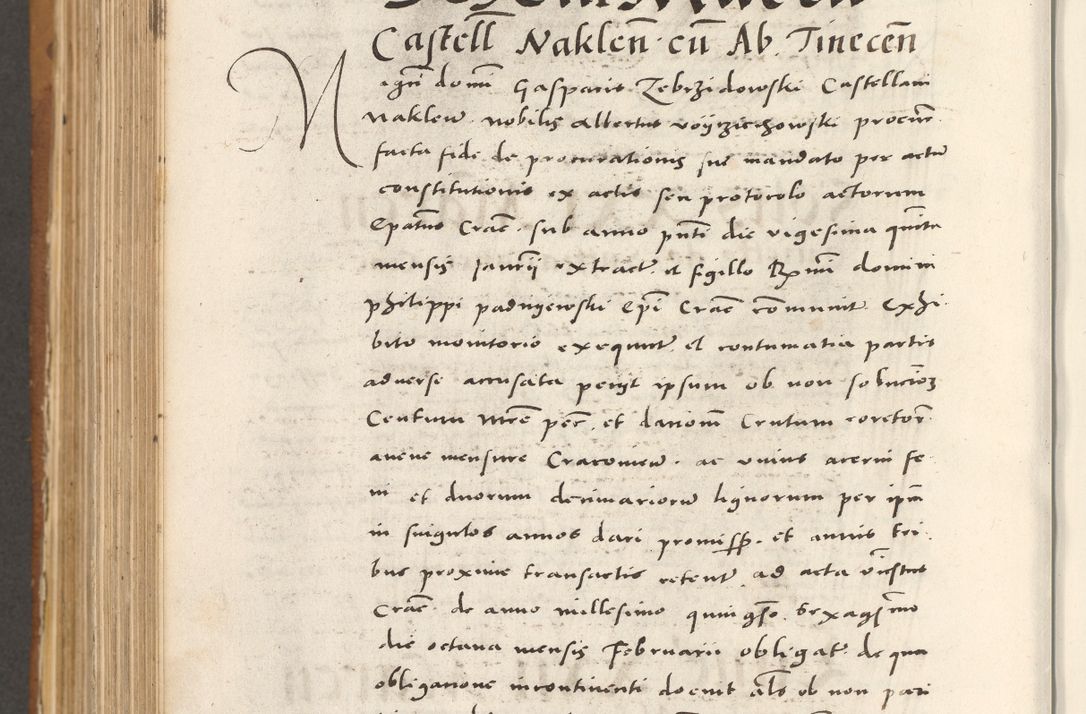 Zdjęcie nr 855 dla obiektu archiwalnego: Acta actorum, sententiarum tam diffinitivarum quam interloquutoriarum, decretorum, obligationum, quietationum et constitutionum procuratorum coram reverendo domino Andrea Przeczlauski scholastico vicarioque in spiritualibus generali Cracoviensi, ad annum Domini millesimum quingentesimum sexagesimum primum, cuius inditio quarta, pontidicatus Pii quarti, annus secundus, poeliciter sequuntur