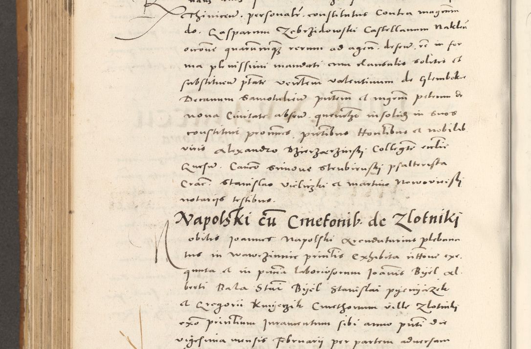 Zdjęcie nr 849 dla obiektu archiwalnego: Acta actorum, sententiarum tam diffinitivarum quam interloquutoriarum, decretorum, obligationum, quietationum et constitutionum procuratorum coram reverendo domino Andrea Przeczlauski scholastico vicarioque in spiritualibus generali Cracoviensi, ad annum Domini millesimum quingentesimum sexagesimum primum, cuius inditio quarta, pontidicatus Pii quarti, annus secundus, poeliciter sequuntur