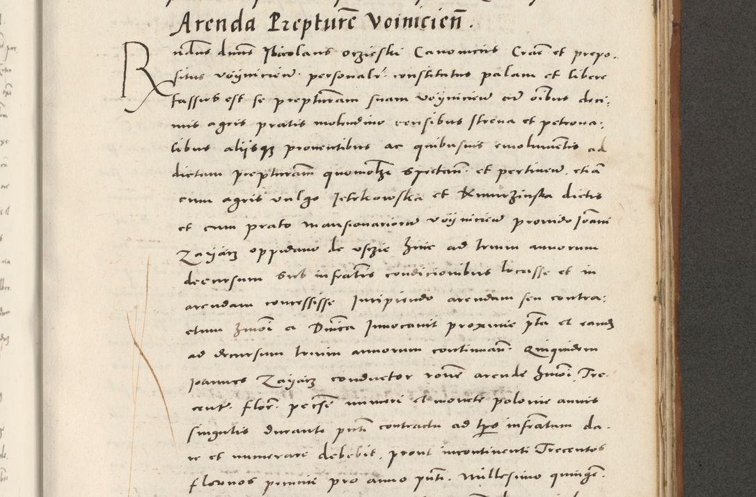 Zdjęcie nr 846 dla obiektu archiwalnego: Acta actorum, sententiarum tam diffinitivarum quam interloquutoriarum, decretorum, obligationum, quietationum et constitutionum procuratorum coram reverendo domino Andrea Przeczlauski scholastico vicarioque in spiritualibus generali Cracoviensi, ad annum Domini millesimum quingentesimum sexagesimum primum, cuius inditio quarta, pontidicatus Pii quarti, annus secundus, poeliciter sequuntur
