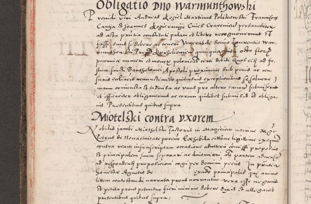 Zdjęcie nr 20 dla obiektu archiwalnego: Acta actorum causarum, sententiarum tam diffinitivarum quam interloquutoriarum, decretorum, obligationum, quietationum, constitutionum procuratorum etc. coram reverendo domino Martino Izdbienski de Russiecz archidiacono Posnaniensi, custode et in spiritualibus vicario generali Cracoviensi, ad annum Domini millesimum quingesimum sexagesimum quintum, cuius indictio octava, pontificatus Pii pape, annus sextus, continuantur