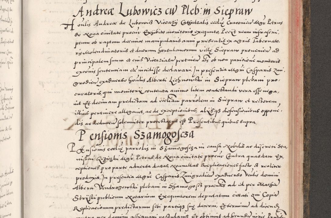 Zdjęcie nr 783 dla obiektu archiwalnego: Acta actorum causarum, sententiarum tam diffinitivarum quam interloquutoriarum, decretorum, obligationum, quietationum, constitutionum procuratorum etc. coram reverendo domino Martino Izdbienski de Russiecz archidiacono Posnaniensi, custode et in spiritualibus vicario generali Cracoviensi, ad annum Domini millesimum quingesimum sexagesimum quintum, cuius indictio octava, pontificatus Pii pape, annus sextus, continuantur