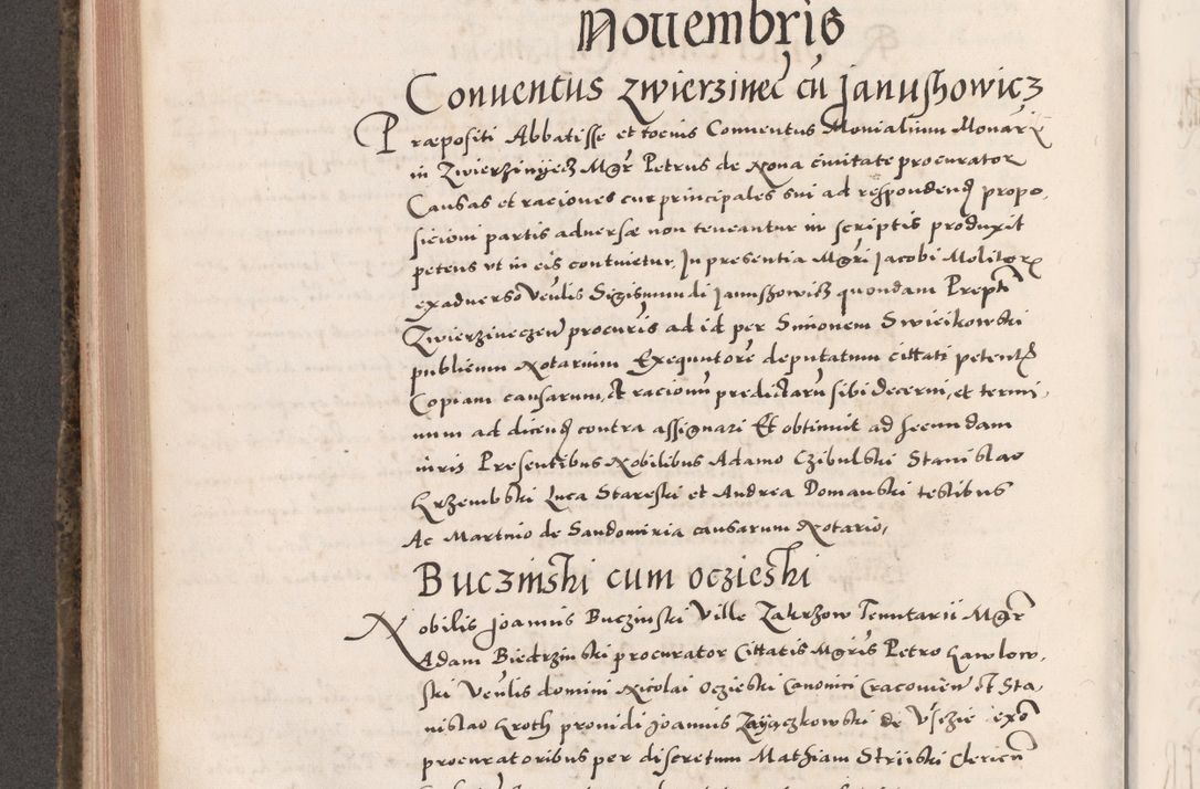 Zdjęcie nr 482 dla obiektu archiwalnego: Acta actorum causarum, sententiarum tam diffinitivarum quam interloquutoriarum, decretorum, obligationum, quietationum, constitutionum procuratorum etc. coram reverendo domino Martino Izdbienski de Russiecz archidiacono Posnaniensi, custode et in spiritualibus vicario generali Cracoviensi, ad annum Domini millesimum quingesimum sexagesimum quintum, cuius indictio octava, pontificatus Pii pape, annus sextus, continuantur