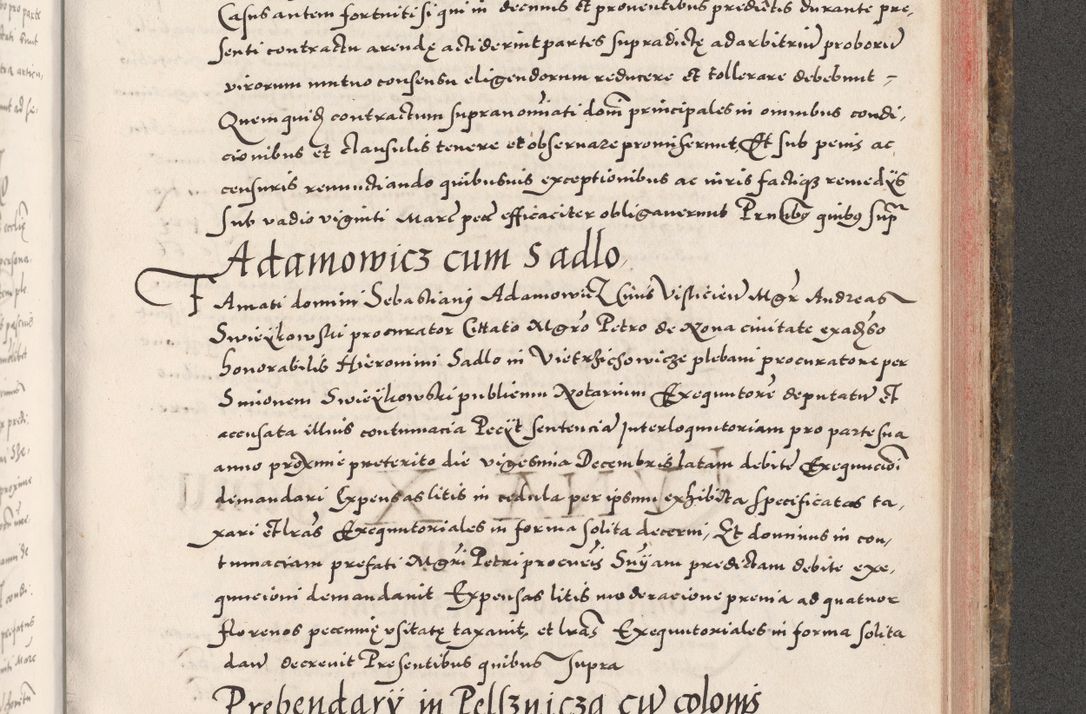 Zdjęcie nr 925 dla obiektu archiwalnego: Acta actorum causarum, sententiarum tam diffinitivarum quam interloquutoriarum, decretorum, obligationum, quietationum, constitutionum procuratorum etc. coram reverendo domino Martino Izdbienski de Russiecz archidiacono Posnaniensi, custode et in spiritualibus vicario generali Cracoviensi, ad annum Domini millesimum quingesimum sexagesimum quintum, cuius indictio octava, pontificatus Pii pape, annus sextus, continuantur
