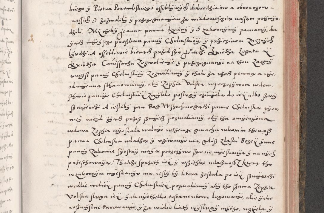 Zdjęcie nr 817 dla obiektu archiwalnego: Acta actorum causarum, sententiarum tam diffinitivarum quam interloquutoriarum, decretorum, obligationum, quietationum, constitutionum procuratorum etc. coram reverendo domino Martino Izdbienski de Russiecz archidiacono Posnaniensi, custode et in spiritualibus vicario generali Cracoviensi, ad annum Domini millesimum quingesimum sexagesimum quintum, cuius indictio octava, pontificatus Pii pape, annus sextus, continuantur