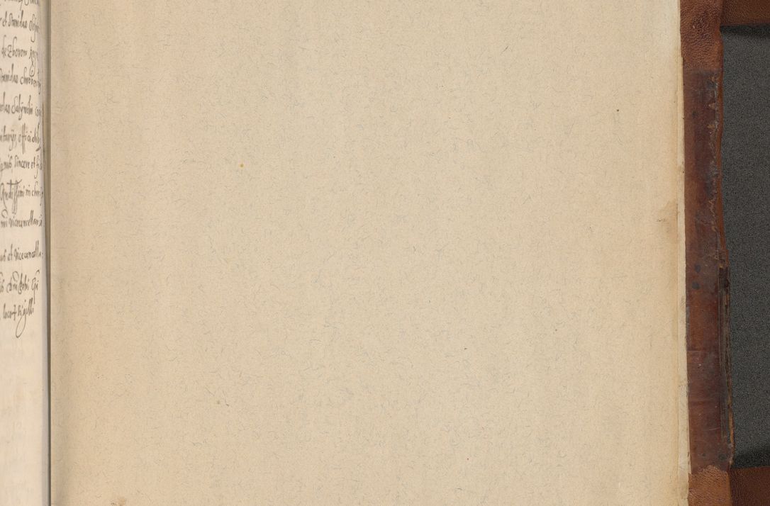 Zdjęcie nr 815 dla obiektu archiwalnego: [Liber actorum, vicariatus et officialatus Cracoviensis ad annum Domini 1574 et seqventes]