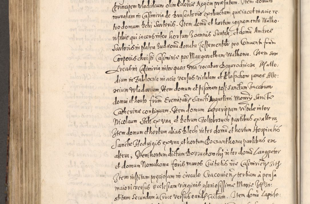 Zdjęcie nr 810 dla obiektu archiwalnego: [Liber actorum, vicariatus et officialatus Cracoviensis ad annum Domini 1574 et seqventes]