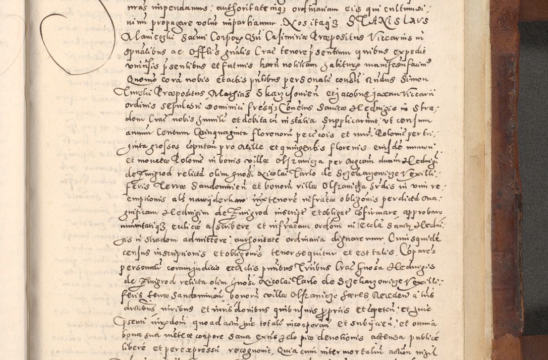 Zdjęcie nr 795 dla obiektu archiwalnego: [Liber actorum, vicariatus et officialatus Cracoviensis ad annum Domini 1574 et seqventes]