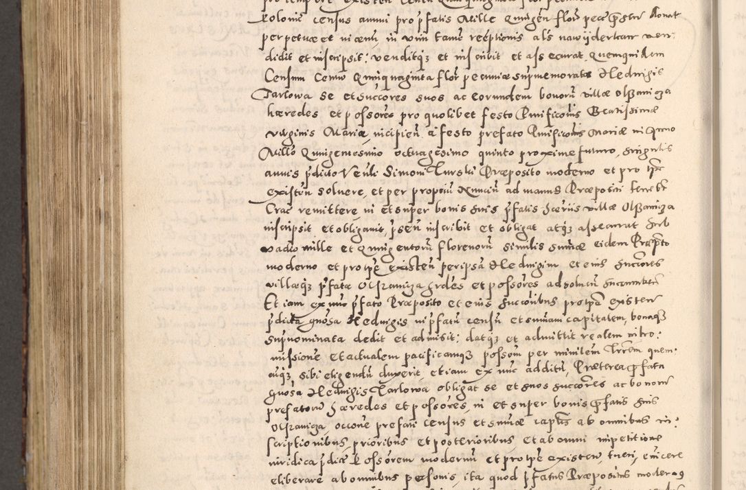 Zdjęcie nr 796 dla obiektu archiwalnego: [Liber actorum, vicariatus et officialatus Cracoviensis ad annum Domini 1574 et seqventes]