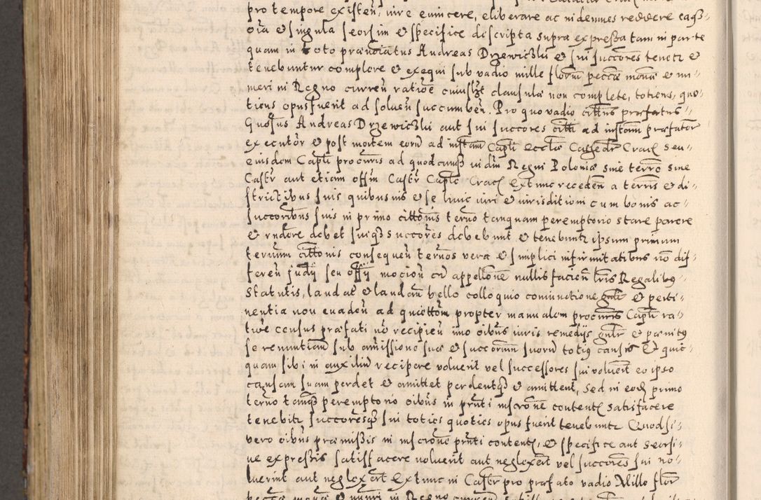 Zdjęcie nr 778 dla obiektu archiwalnego: [Liber actorum, vicariatus et officialatus Cracoviensis ad annum Domini 1574 et seqventes]