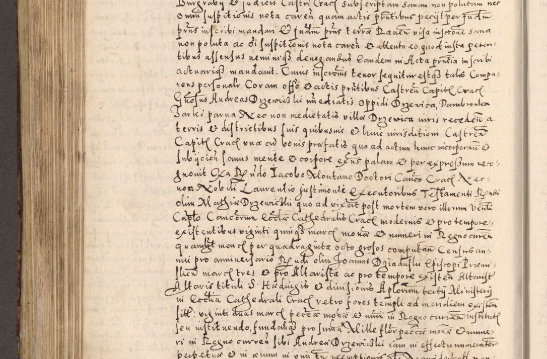 Zdjęcie nr 776 dla obiektu archiwalnego: [Liber actorum, vicariatus et officialatus Cracoviensis ad annum Domini 1574 et seqventes]