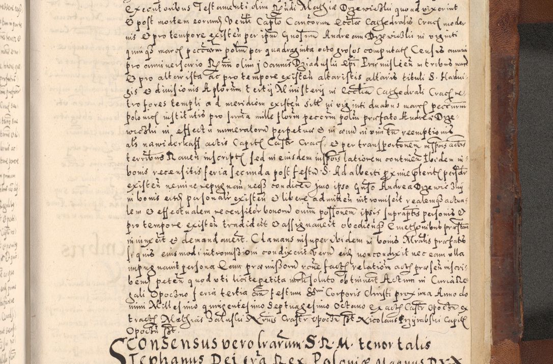 Zdjęcie nr 779 dla obiektu archiwalnego: [Liber actorum, vicariatus et officialatus Cracoviensis ad annum Domini 1574 et seqventes]