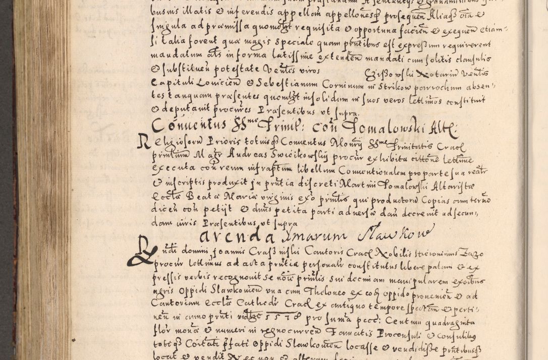 Zdjęcie nr 710 dla obiektu archiwalnego: [Liber actorum, vicariatus et officialatus Cracoviensis ad annum Domini 1574 et seqventes]