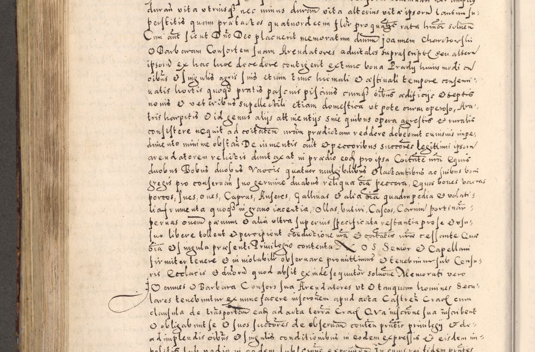 Zdjęcie nr 700 dla obiektu archiwalnego: [Liber actorum, vicariatus et officialatus Cracoviensis ad annum Domini 1574 et seqventes]